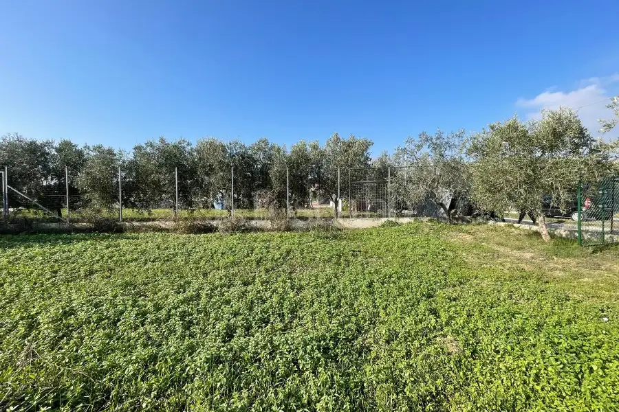 Agricolo in vendita di 1.288 mq a €37.000 (rif. 59/2025)