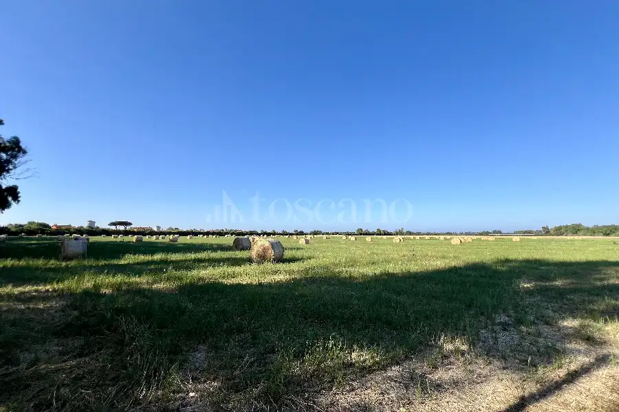 Agricolo in vendita di 75.000 mq a €250.000 (rif. 50/2026)