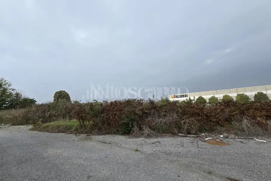 Terreno in vendita di 17000 mq a €1,350,000 (rif. TS0102VE)