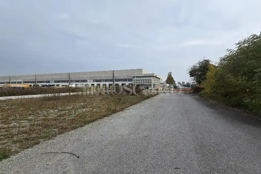 Terreno in vendita di 17000 mq a €1,350,000 (rif. TS0102VE)