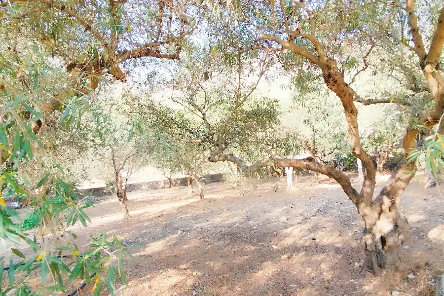 Villa in vendita di 186 mq a €199.000 (rif. 38/2026)