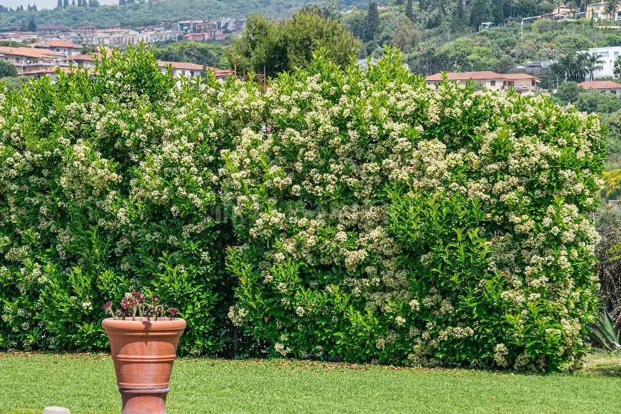Villa in vendita di 169 mq trattativa riservata (rif. 83/2026)