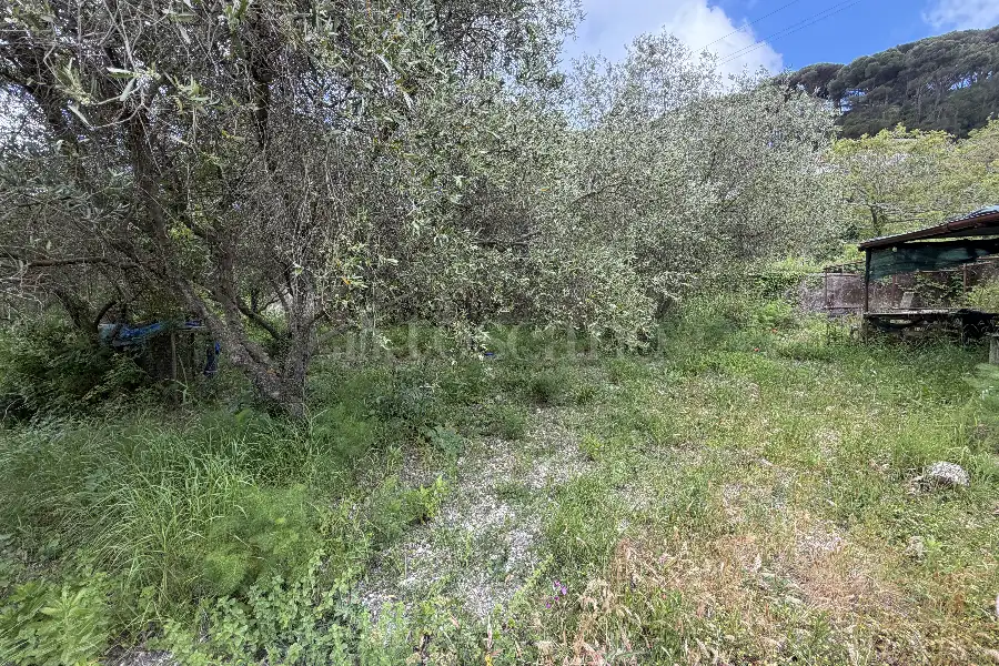 Agricolo in vendita di 16.504 mq a €88.000 (rif. 20/2026)