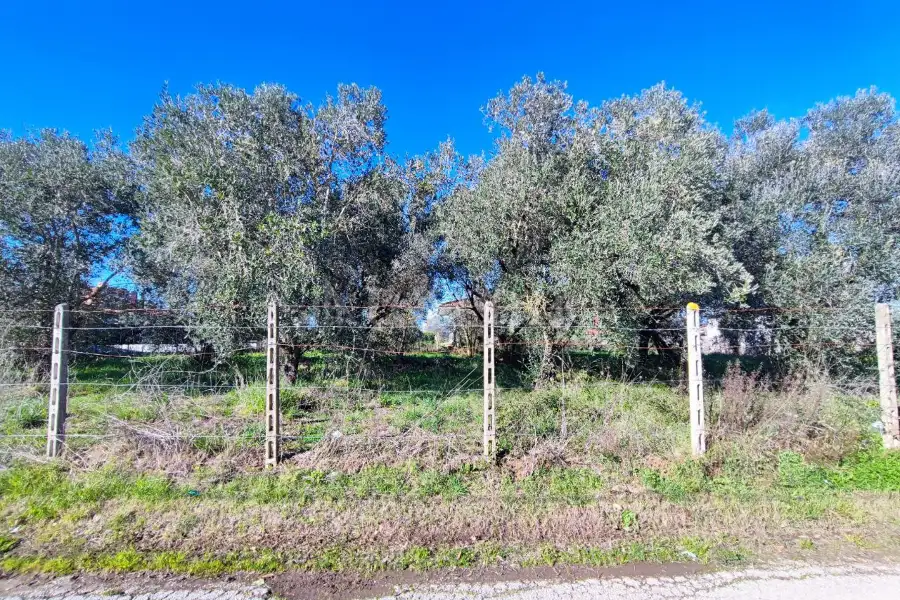 Agricolo in vendita di 1.200 mq a €49.000 (rif. 84/2025)