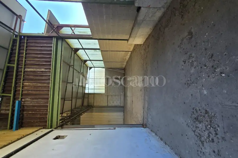 Capannone in vendita di 1000 mq a €395,000 (rif. TS0104VE)