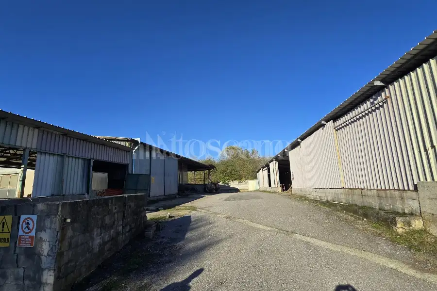 Capannone in vendita di 1000 mq a €395,000 (rif. TS0104VE)