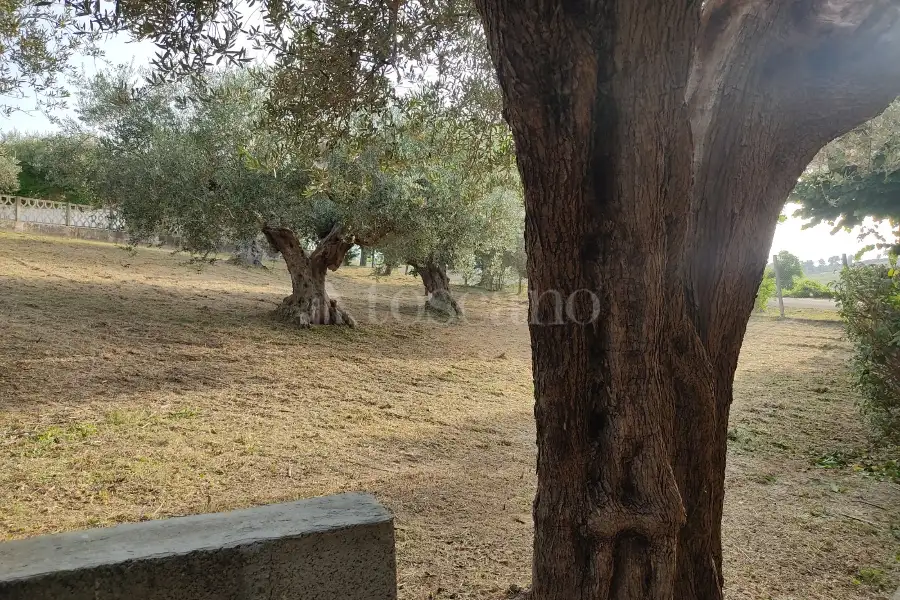 Casa Indipendente in vendita di 310 mq a €159.000 (rif. 1/2026)