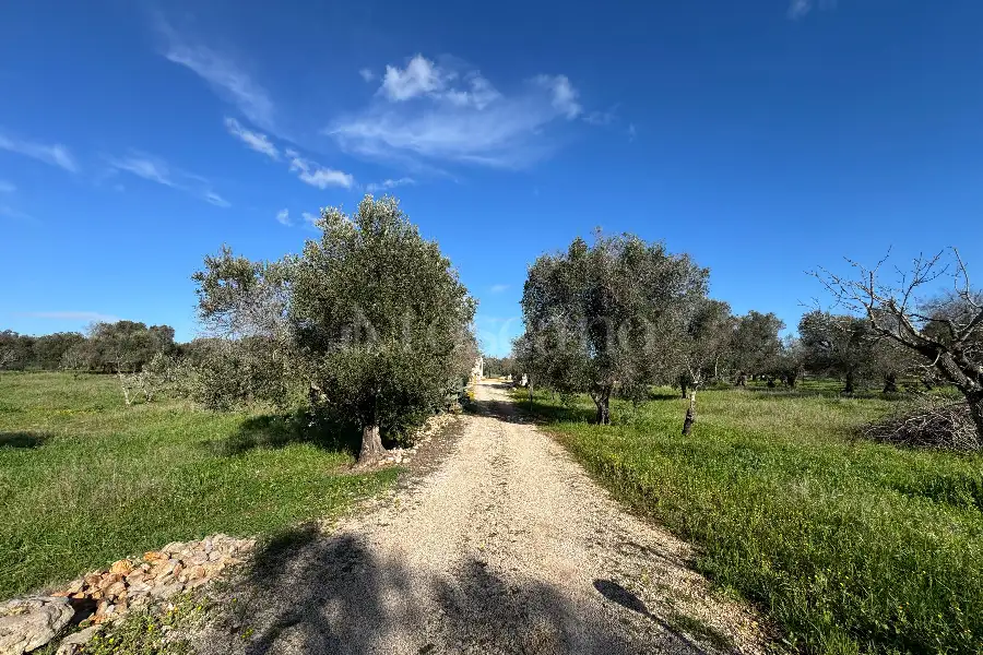 Villa in vendita di 170 mq a €780.000 (rif. 3/2026)