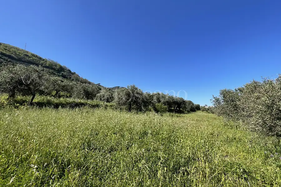Rustico in vendita di 178 mq a €70.000 (rif. 14/2026)