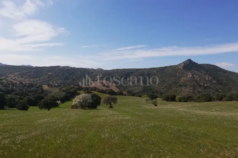 Agricolo in vendita di 194.010 mq a €250.000 (rif. 56/2024)