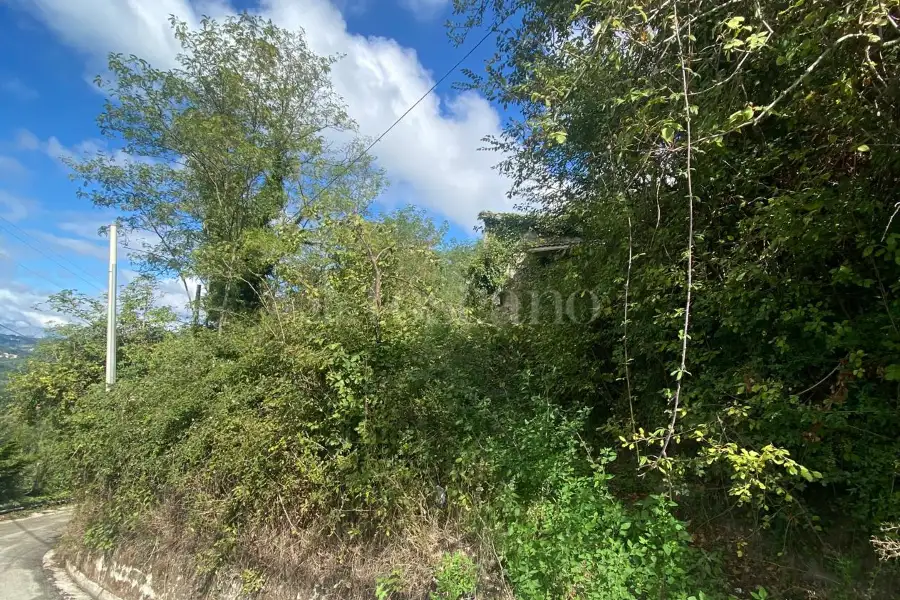 Agricolo in vendita di 1.700 mq a €8.000 (rif. 74/2024)