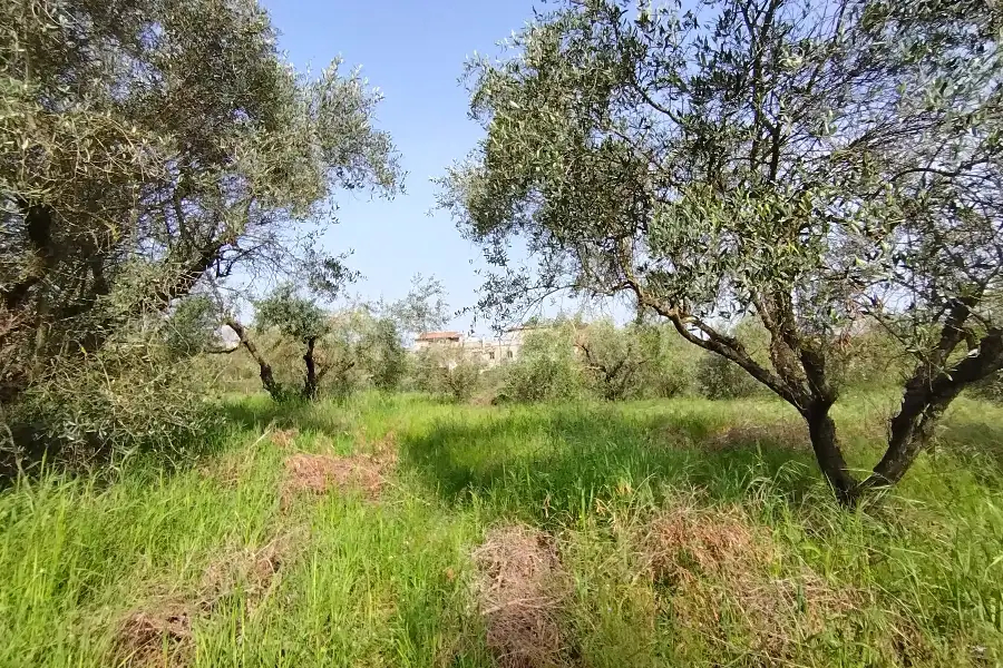 Agricolo in vendita di 5.520 mq a €65.000 (rif. 12/2025)
