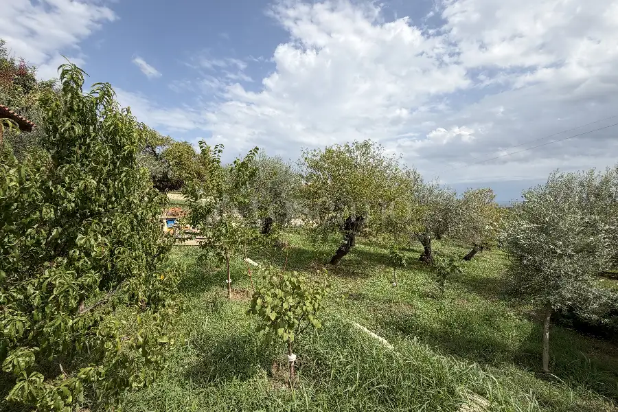 Villa in vendita di 120 mq a €345.000 (rif. 141/2026)