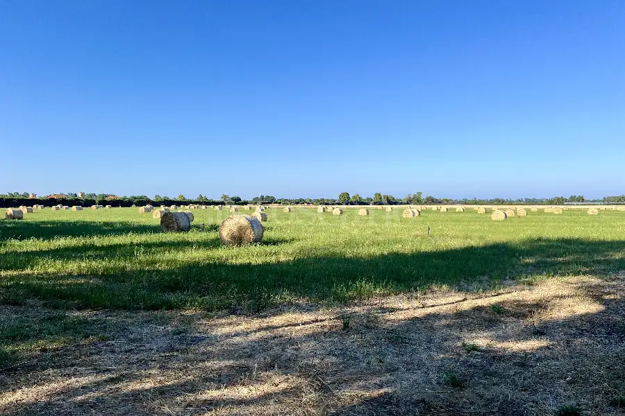Agricolo in vendita di 75.000 mq a €250.000 (rif. 50/2026)