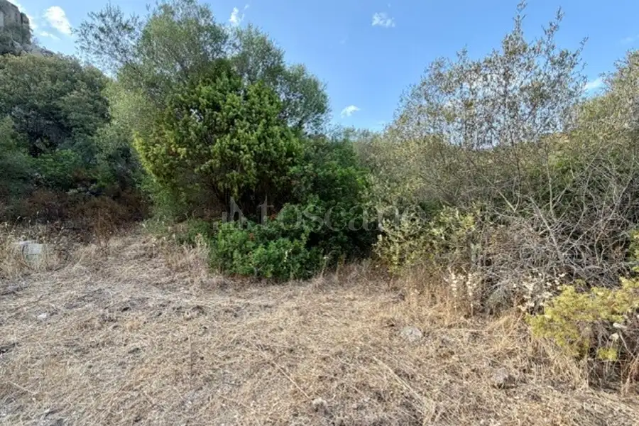 Agricolo in vendita di 13.000 mq a €95.000 (rif. 56/2026)