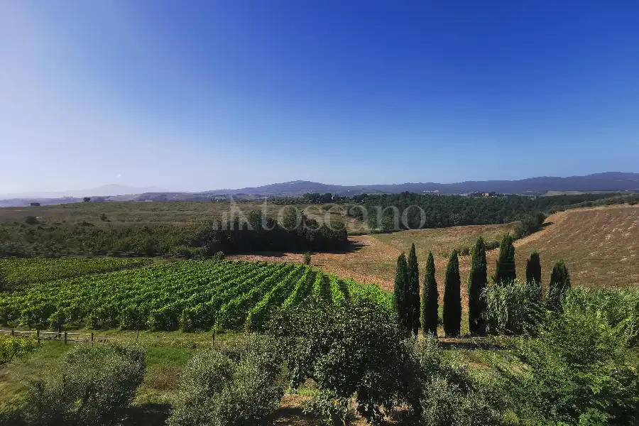 Casale in vendita di 1.200 mq a €470.000 (rif. 35/2023)