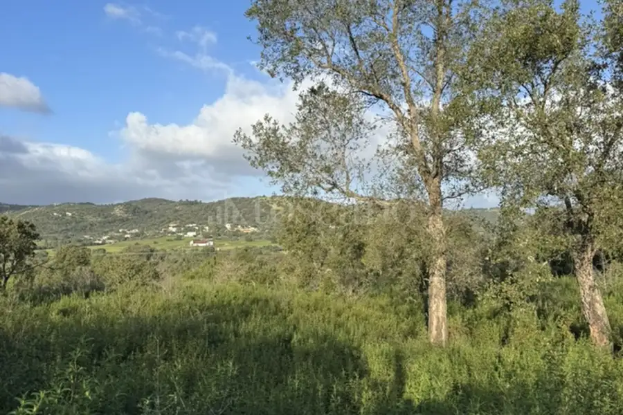 Edificabile Residenziali in vendita di 1.177 mq a €99.000 (rif. 3/2026)