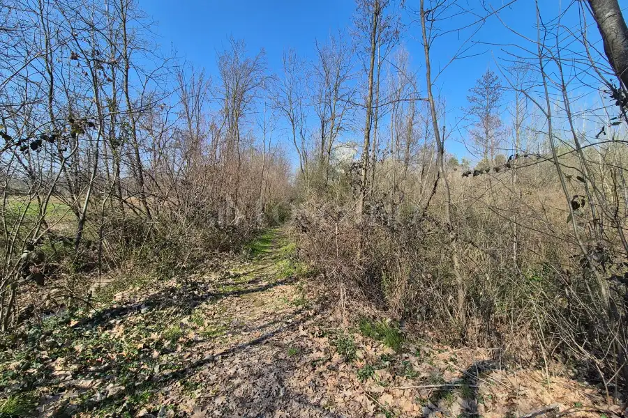 Agricolo in vendita di 80.000 mq a €445.000 (rif. 8/2025)