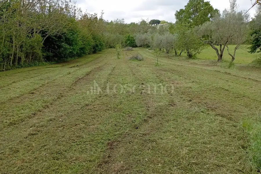 Agricolo in vendita di 3.360 mq a €12.000 (rif. 22/2026)