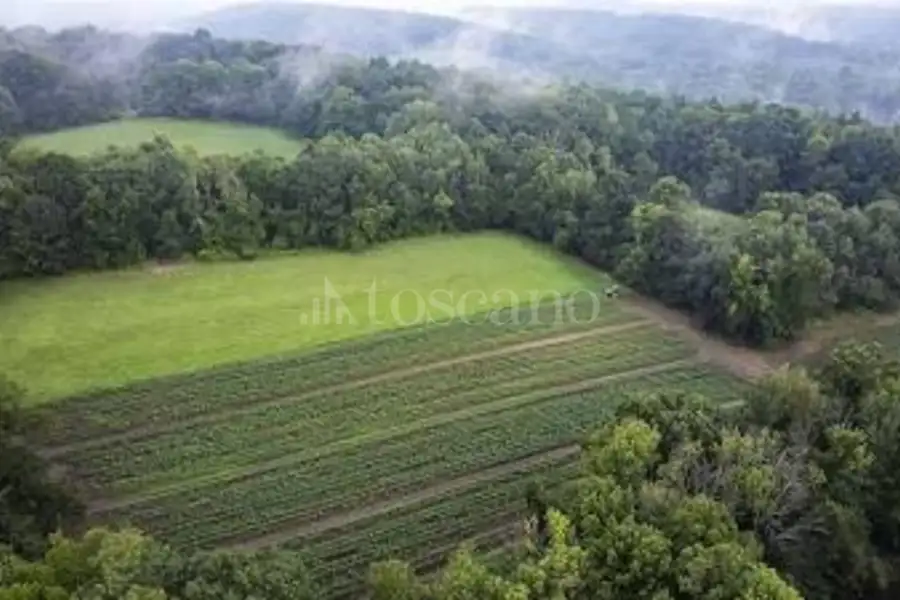 Agricolo in vendita di 2.000 mq a €15.000 (rif. 45/2025)