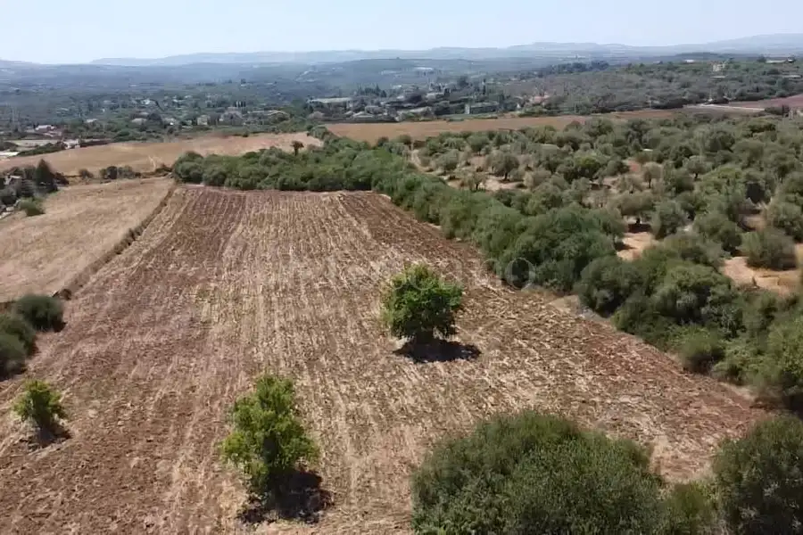 Edificabile Residenziali in vendita di 15.000 mq a €75.000 (rif. 163/2026)