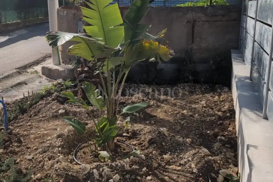 Villa in vendita di 346 mq a €365.000 (rif. 50/2024)