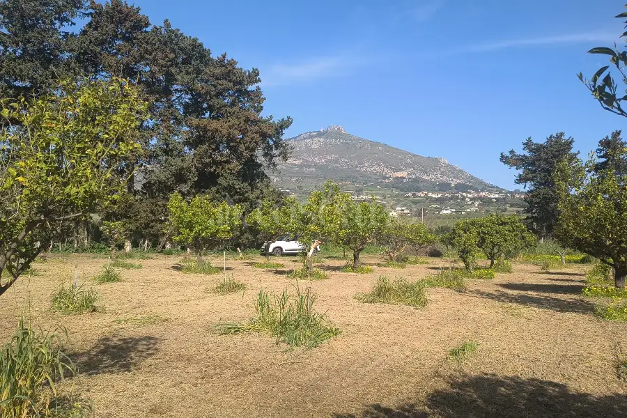 Agricolo in vendita di 14.880 mq a €108.000 (rif. 27/2026)