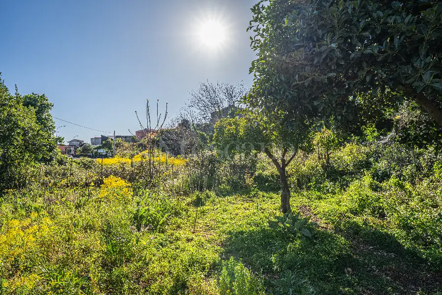 Villa in vendita di 327 mq a €348.000 (rif. 59/2026)