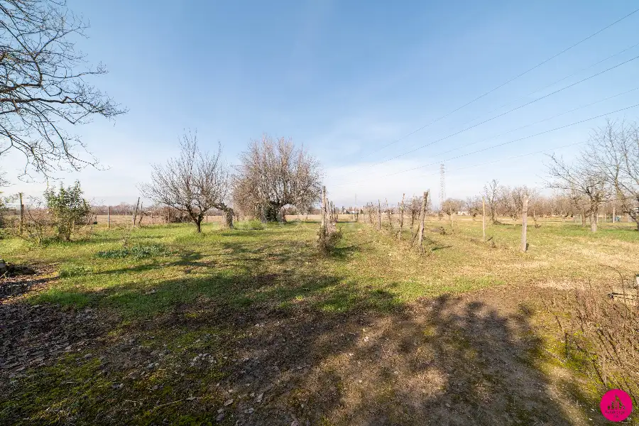 Rustico in vendita di 295 mq a €59.000 (rif. 181/2026)
