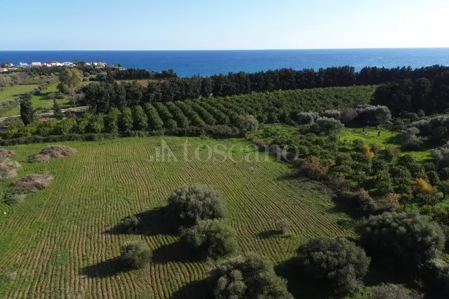 Edificabile Residenziali in vendita di 25.000 mq a €335.000 (rif. 137/2025)