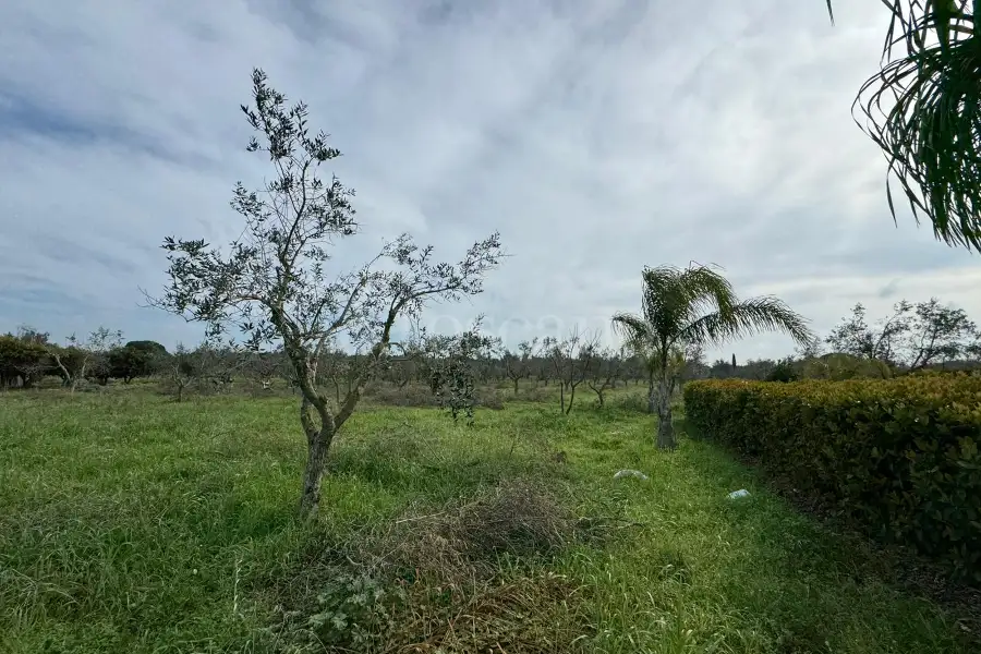 Villa in vendita di 185 mq a €290.000 (rif. 9/2026)