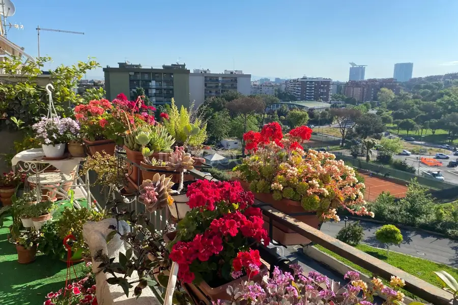 Villino a Schiera in vendita di 110 mq a €345.000 (rif. 1/2026)