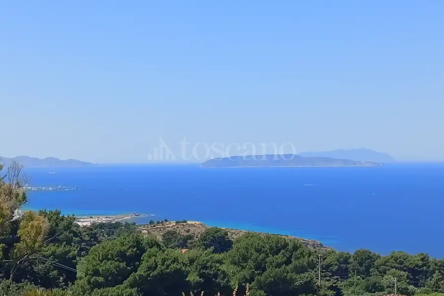 Agricolo in vendita di 37.700 mq a €225.000 (rif. 31/2026)