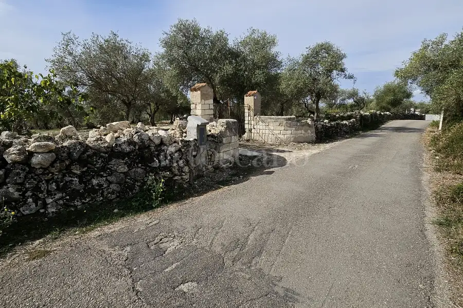 Edificabile Residenziali in vendita di 10.000 mq a €99.000 (rif. 176/2025)