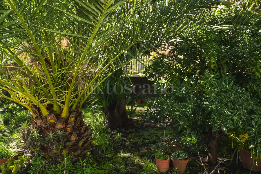 Villa in vendita di 322 mq a €478.000 (rif. 20/2025)