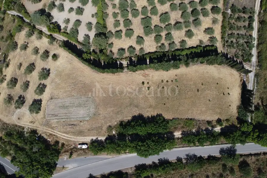 Edificabile Industriale in vendita di 9.000 mq a €50.000 (rif. 142/2026)
