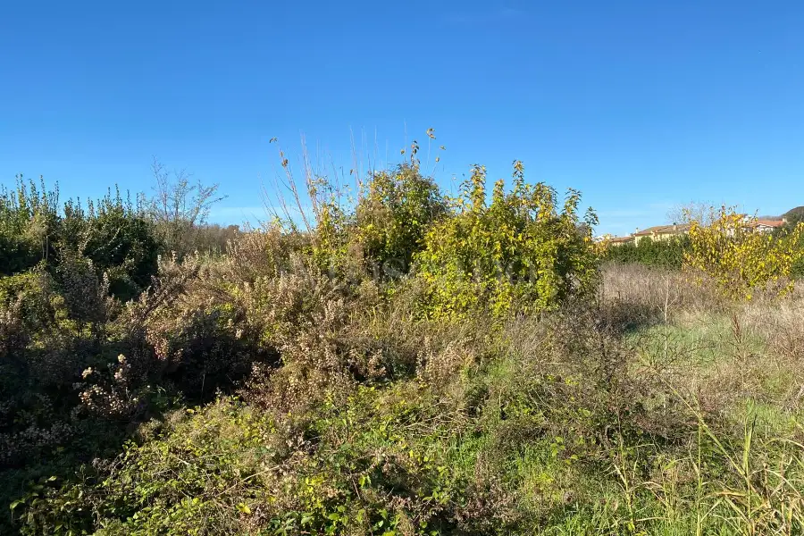 Agricolo in vendita di 1.936 mq a €129.000 (rif. 69/2025)