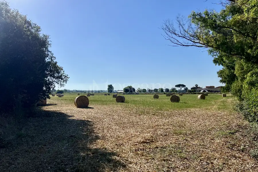 Agricolo in vendita di 75.000 mq a €250.000 (rif. 50/2026)