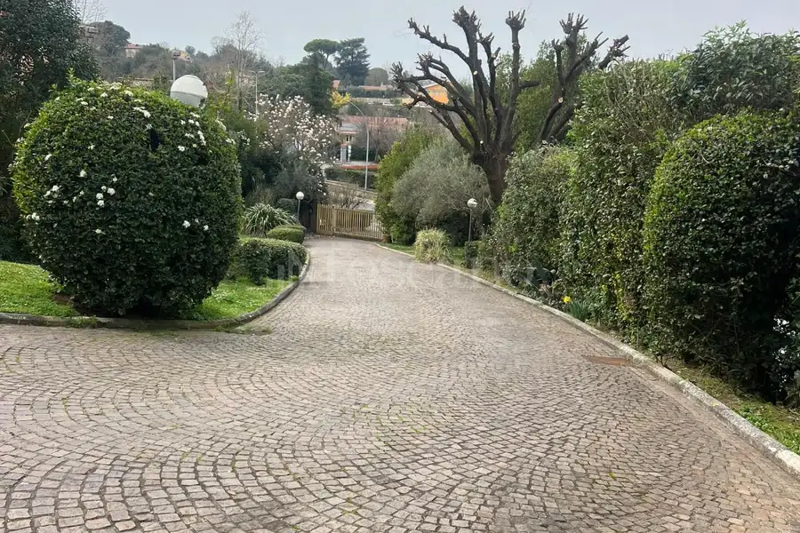 Casa in affitto di 218 mq a €1.800 (rif. 14/2026)