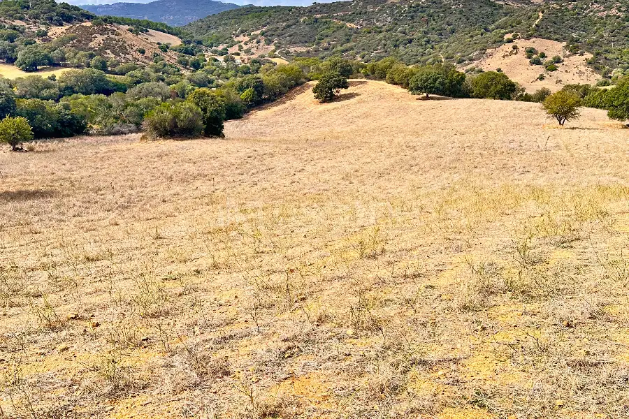Agricolo in vendita di 194.010 mq a €250.000 (rif. 56/2024)
