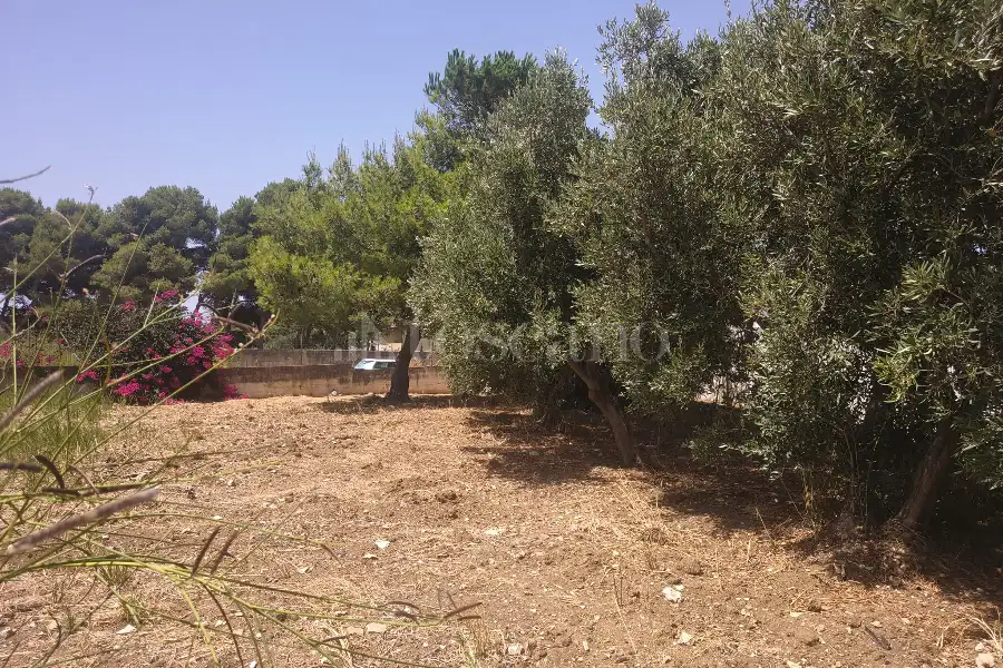 Edificabile Residenziali in vendita di 650 mq a €28.000 (rif. 45/2026)