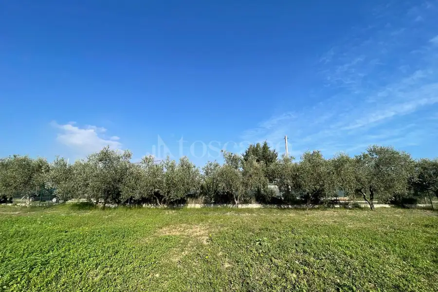 Agricolo in vendita di 1.288 mq a €37.000 (rif. 59/2025)