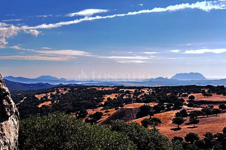 Agricolo in vendita di 75.140 mq a €95.000 (rif. 21/2025)