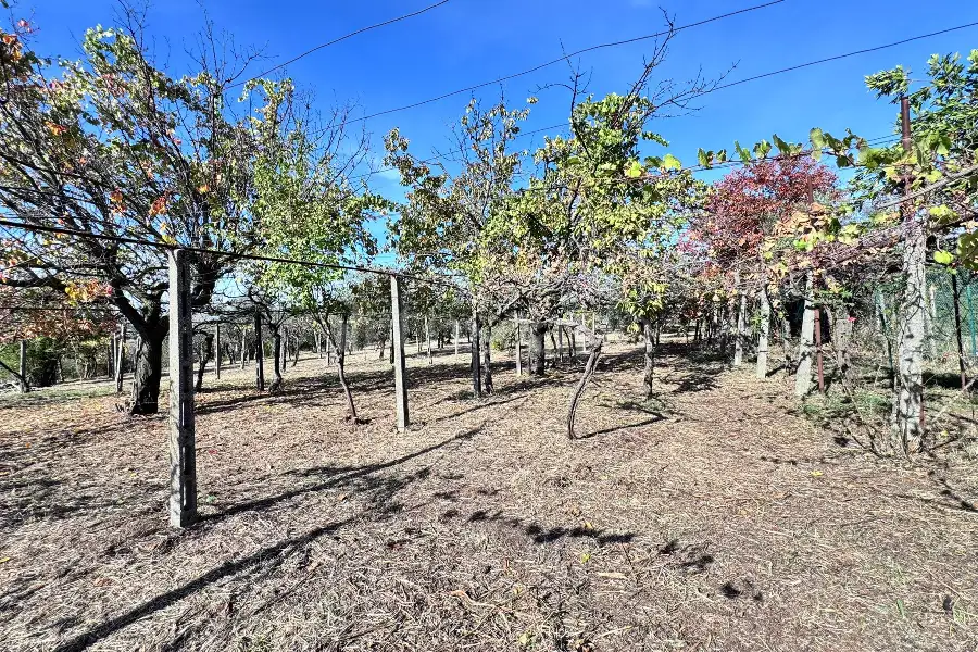 Villa in vendita di 350 mq a €475.000 (rif. 15/2025)