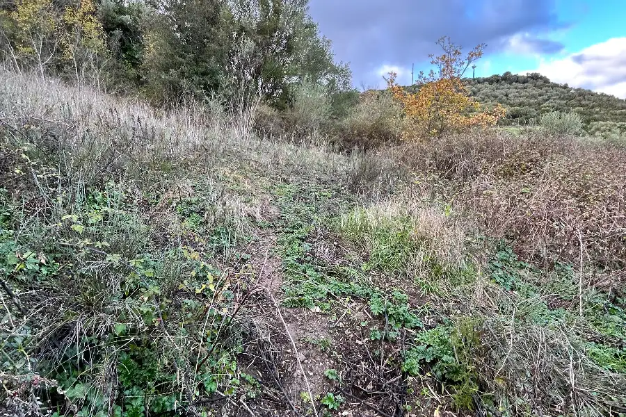 Agricolo in vendita di 4.300 mq a €10.000 (rif. 213/2025)