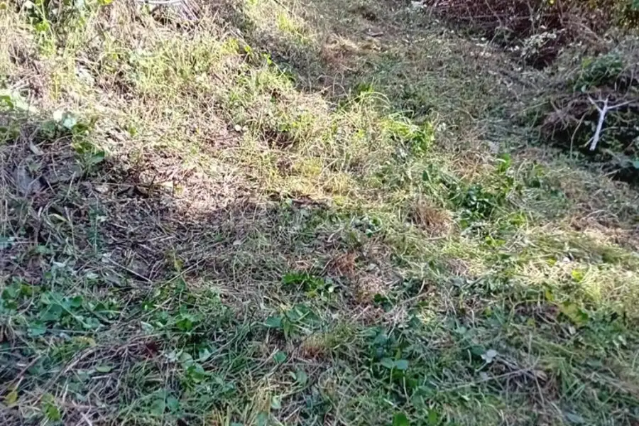 Agricolo in vendita di 5.169 mq a €28.000 (rif. 7/2021)