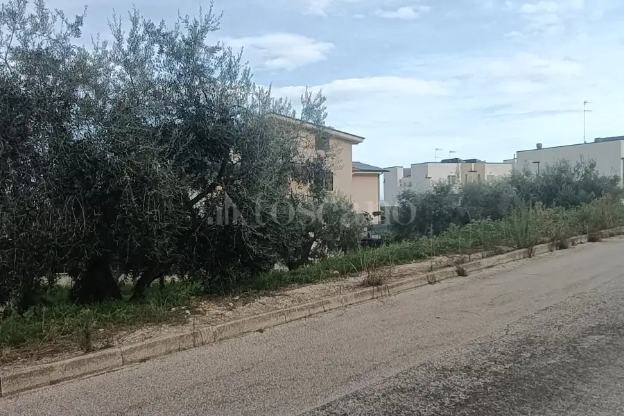 Edificabile Residenziali in vendita di 686 mq a €73.000 (rif. 41/2025)