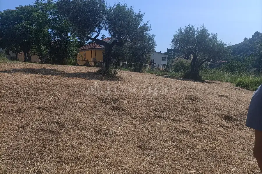 Agricolo in vendita di 12.000 mq a €89.500 (rif. 31/2025)