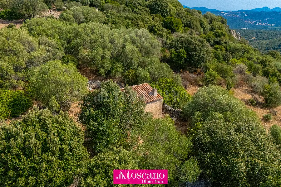 Agricolo in vendita di 176.937 mq a €170.000 (rif. 49/2026)