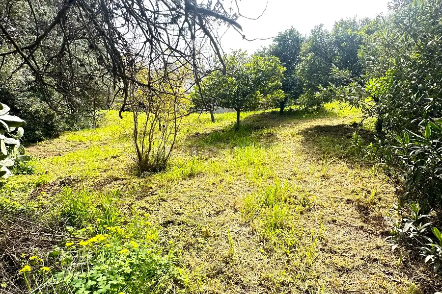Villa in vendita di 450 mq a €2.200.000 (rif. 9/2026)